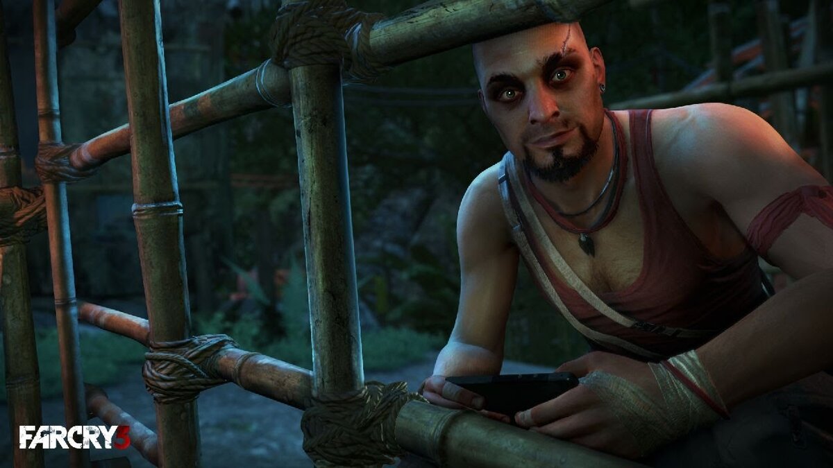 Самый харизматичный персонаж Far Cry 3 - Ваас Монтенегро. Факты и  биография. | TECHNICAL GAMERS | Дзен