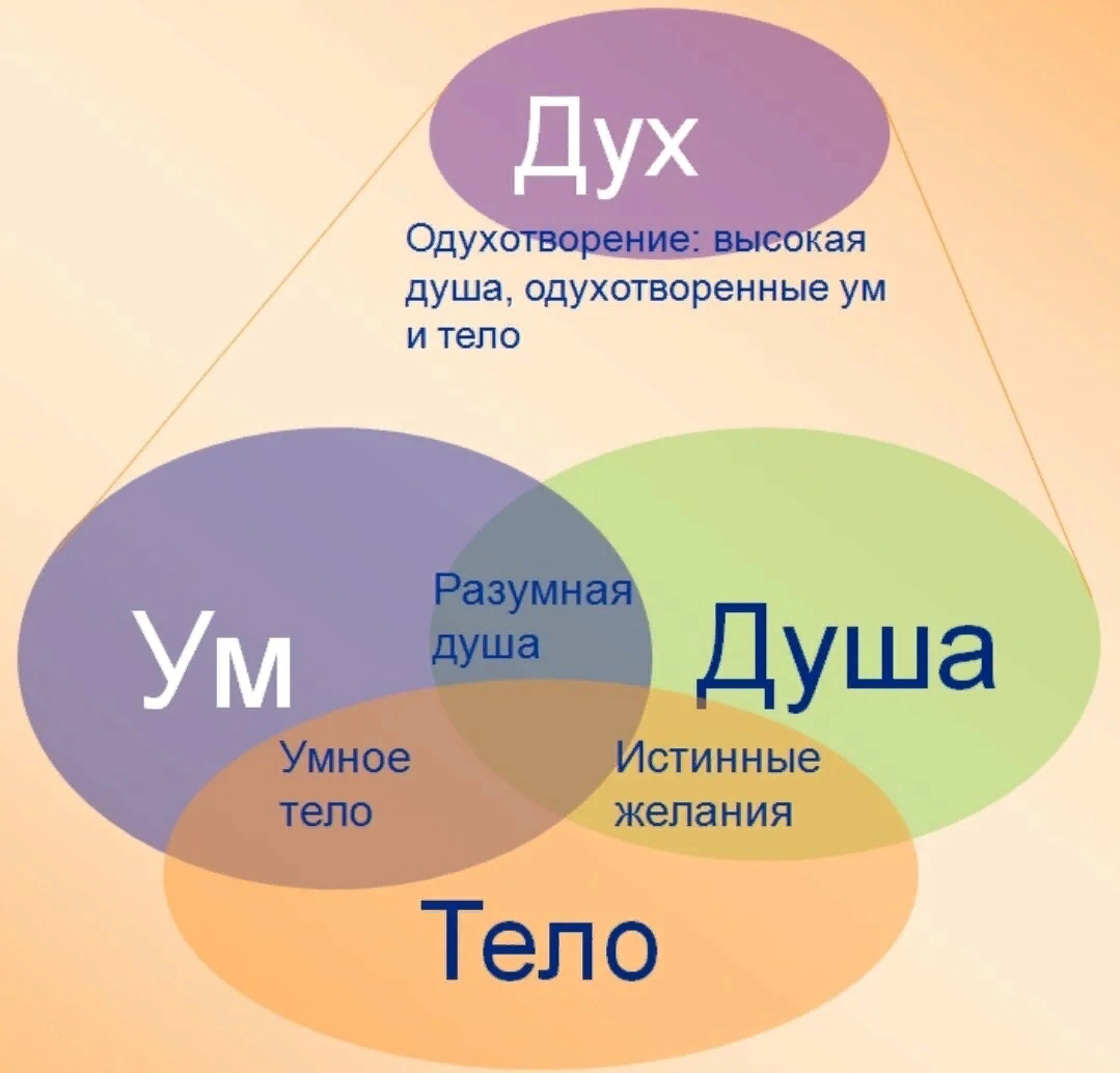 Что определяет ум человека. Дух, душа и тело. Дух душа тело разум. Триединство душа тело разум. Человек дух душа тело.