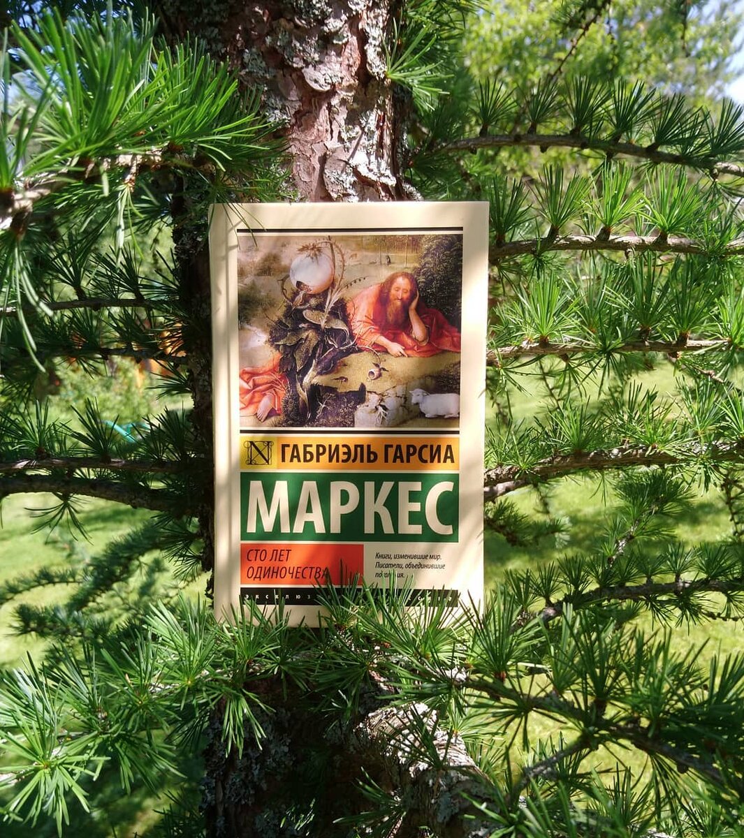 Фото: mary_reading (Instagram)