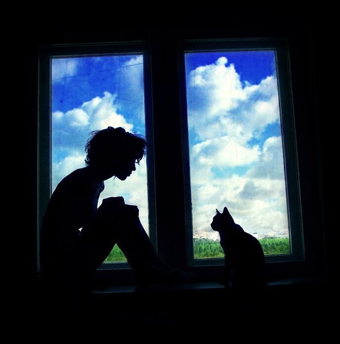 Посмотри в окно найди. Силуэт в окне. Кошка на подоконнике. Одинокий силуэт в окне. Темный силуэт в окне.