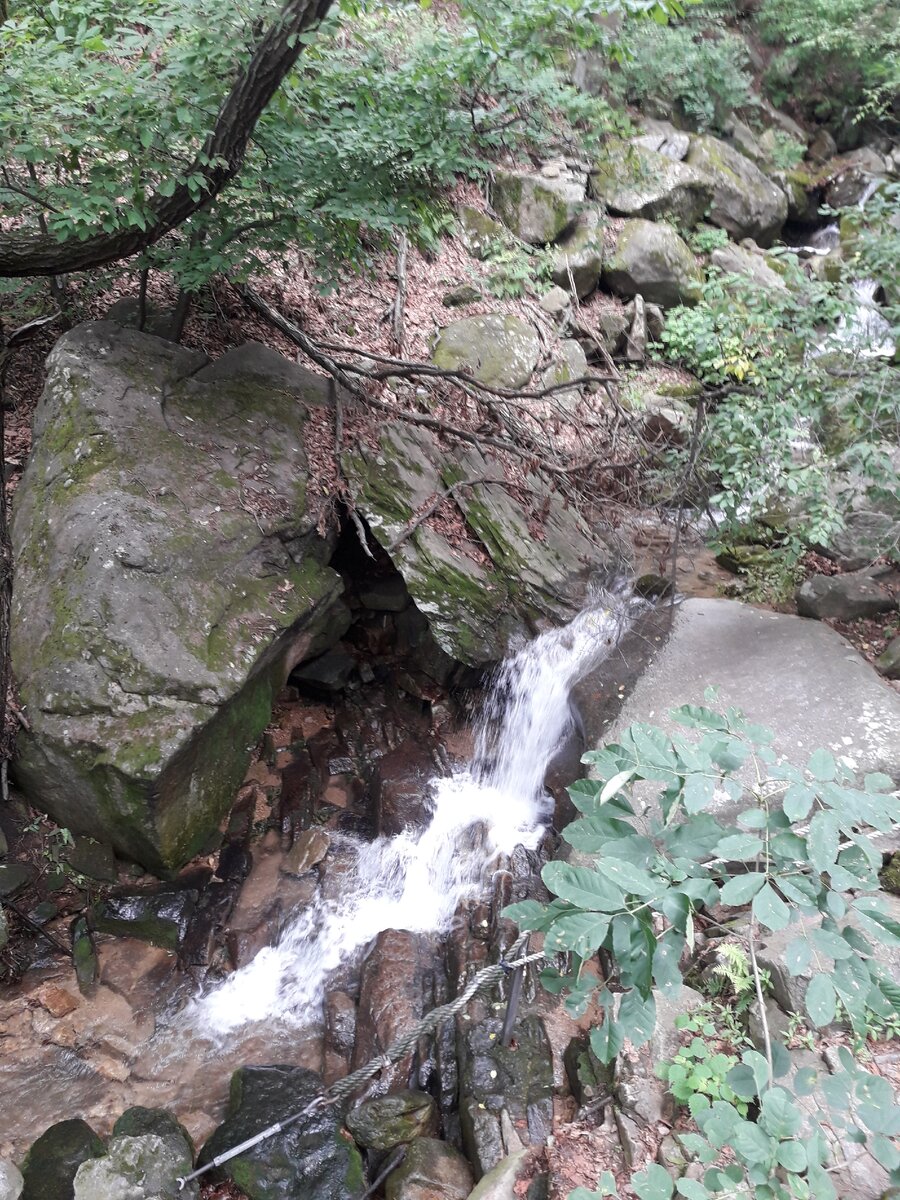 Бежит ручей, я пошел туда после дождя, хоть это было и опасно, но зато был награжден таким видом