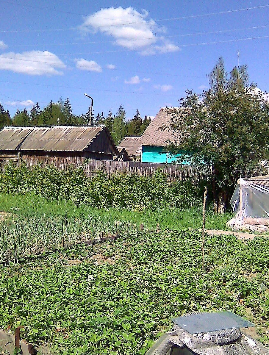 Какое всё зелёное!