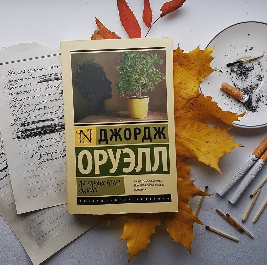 inst: amour_bookamur