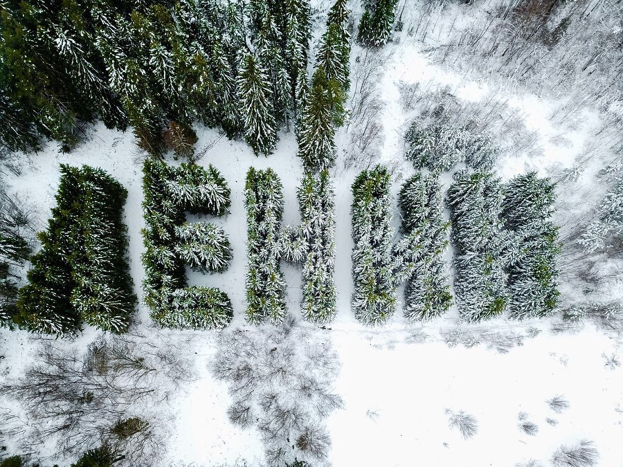 Вологодская область, фото inst@alenkakopylova