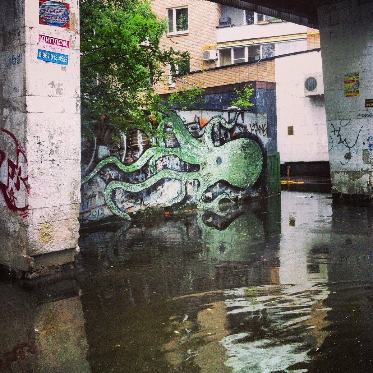 Граффити создано из осколков стекла. Фото автора 