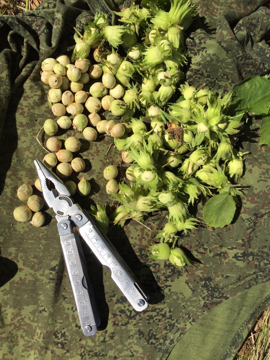 Мой первый мультитул