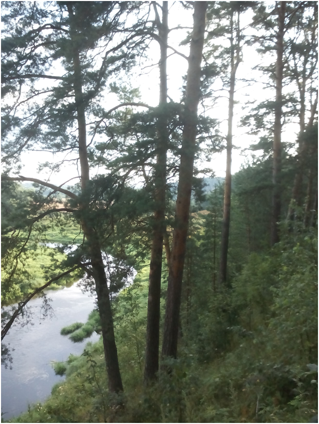 Фото автора. Наши места.