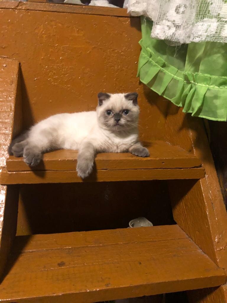 Фото на той самой злополучной лестнице на второй этаж.