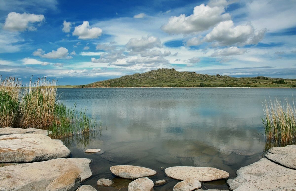 Фото из открытого источника 