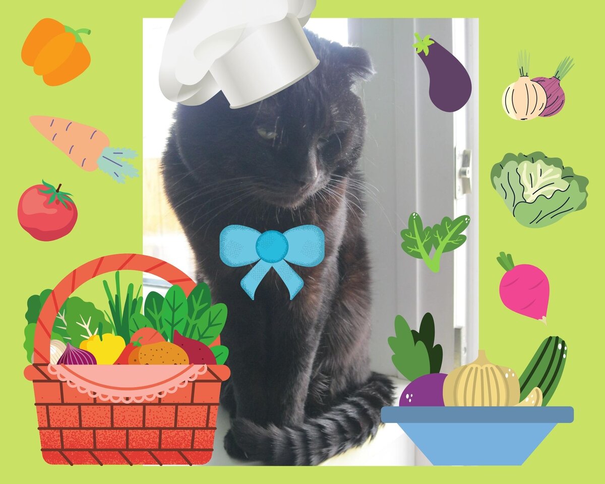 Добро пожаловать на мою магическую кухню!😸