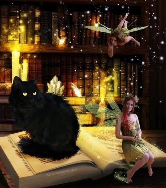 Волшебная книга  творит чудеса! В этот раз в помощь мне прилетели маленькие феи🧚🏼‍♀️