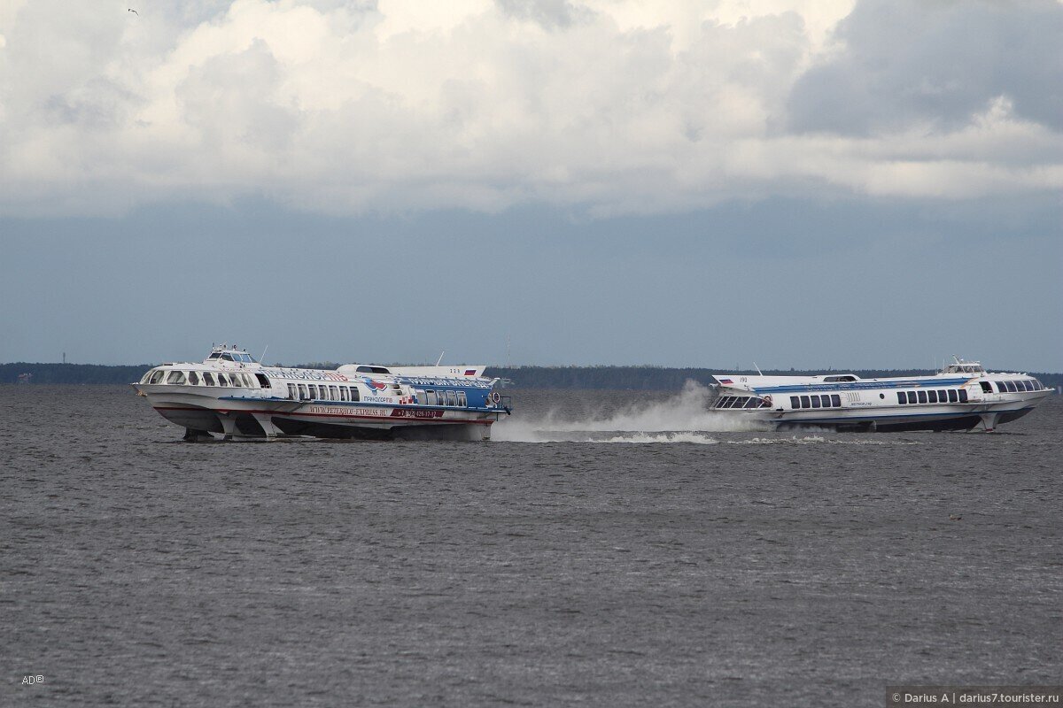 Фото: © Darius A