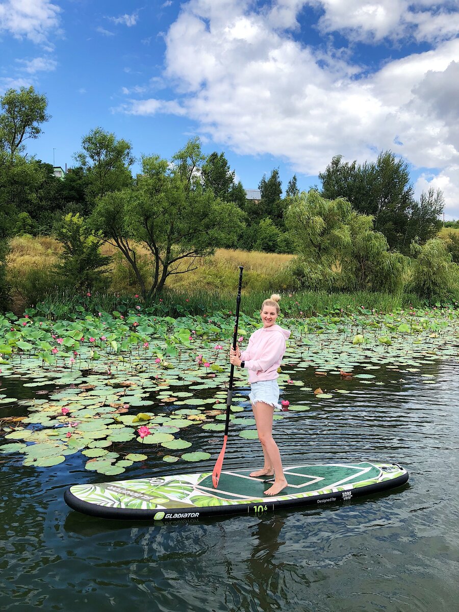 Богоявленовский пруд с лотосами в Воронежской области