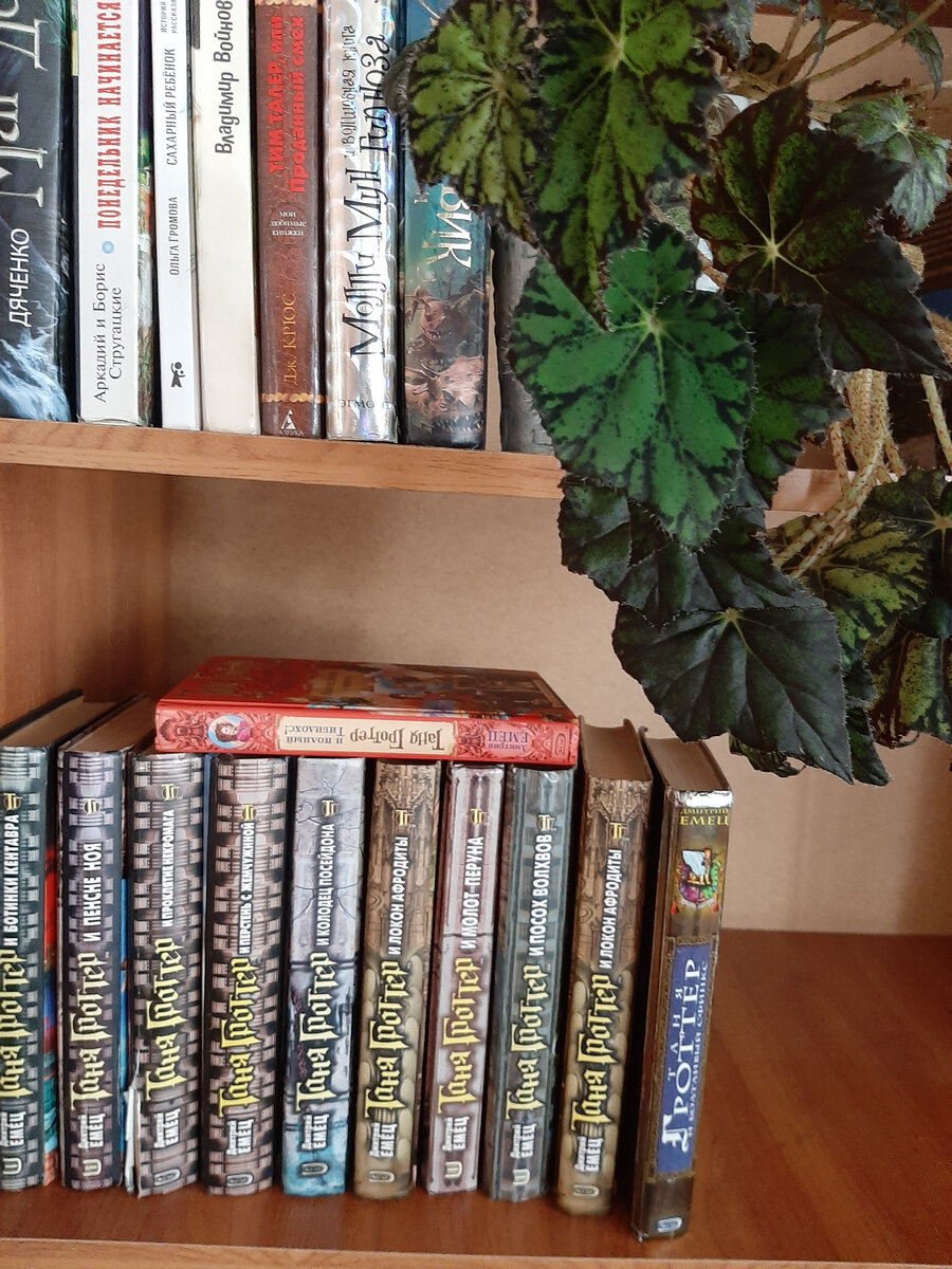 Фото автора.