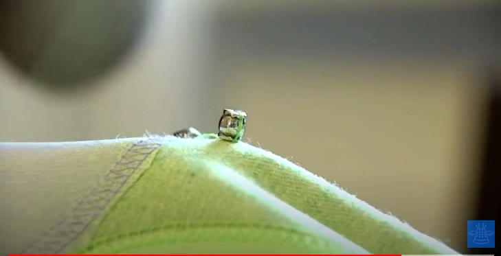 строчка и бусины