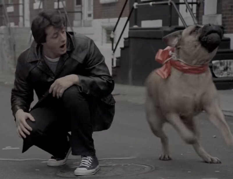 Рокки и его собака по кличке Баткус (кадр из фильма РОККИ)