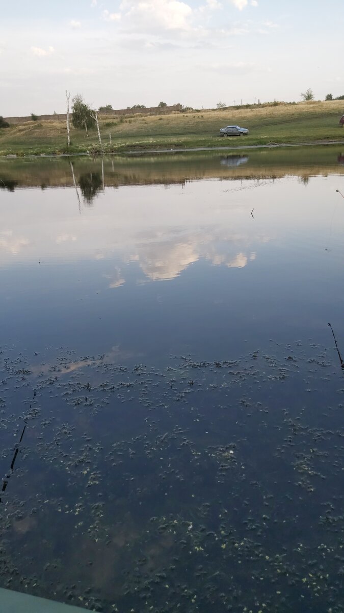 Солнечная радиация. Солнце на открытом пространстве не такое, как везде. Здесь имеет место взаимодействие потока солнечной энергии с водной поверхностью. Песчаный или каменистый берег обладает отражательной способностью (альбедо) и вода тоже этим свойством наделена. Нигде более такого эффекта солнца нет: ни в городе, ни в селе, ни в лесу, ни в поле... Чем же полезен этот солнечный феномен? В окрестностях водоемов ускорена эритемная реакция кожи, что способствует выработке в тканях витамина D, закаливает, нормализует артериальное давление, хорошо сказывается на балансе кальция в организме.