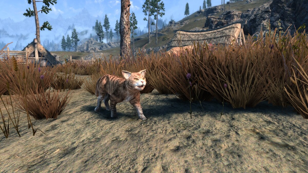 A Cat's Live - источник nexusmods