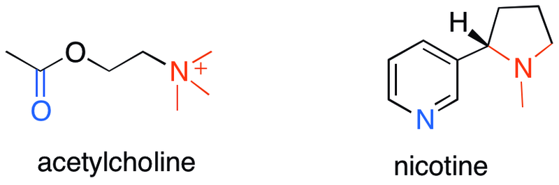 Ацетилхолин и Никотин