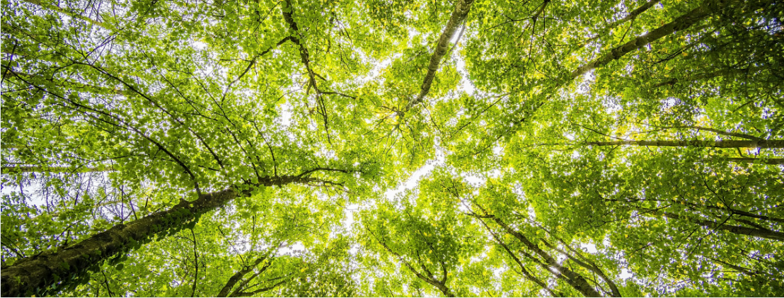 Как ни странно, но именно возвращение, в том числе к негативным эмоциям, физической боли, помогает их уменьшить. 