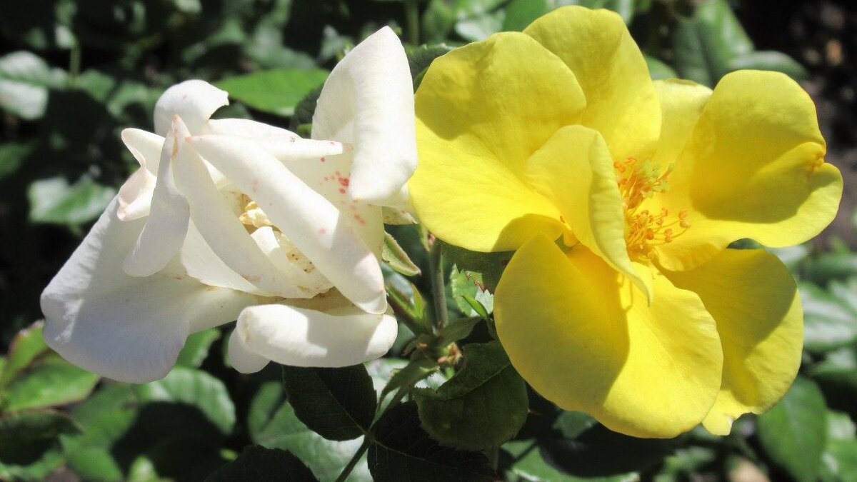 Бог все властен