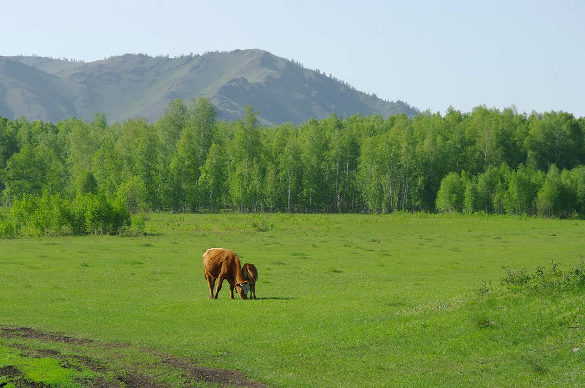 Луга Башкортостана