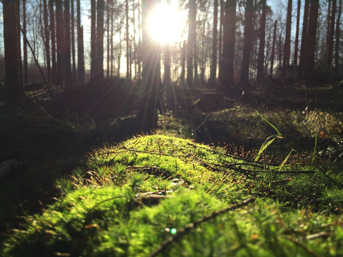 Photo by Janus Clemmensen on Unsplash
