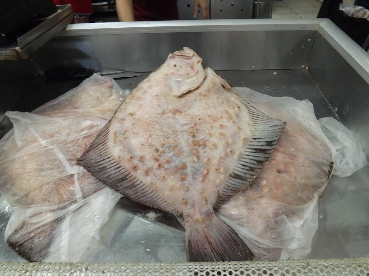 Камбала азовская. Фото из личных архивов автора