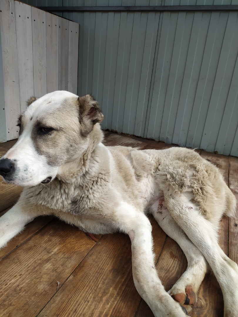 Марта после клиники