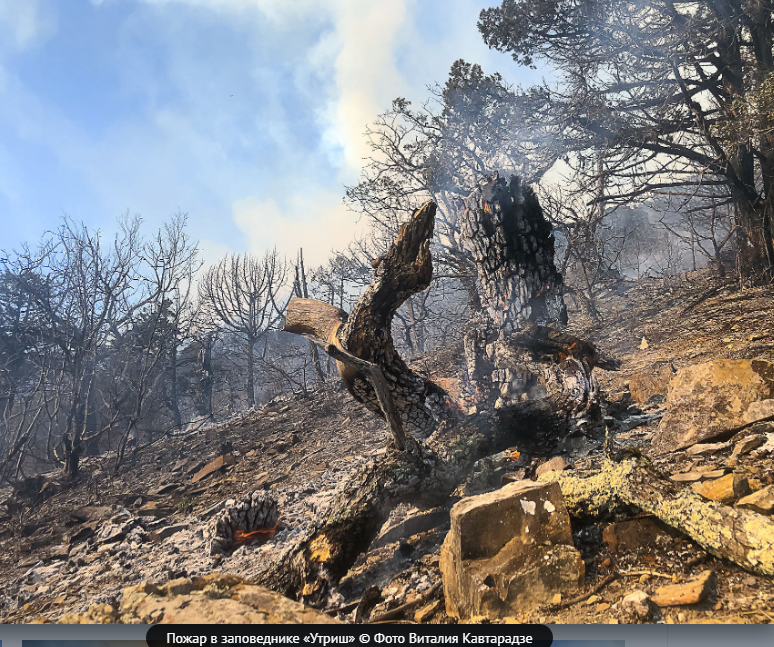 фото: www.yuga.ru