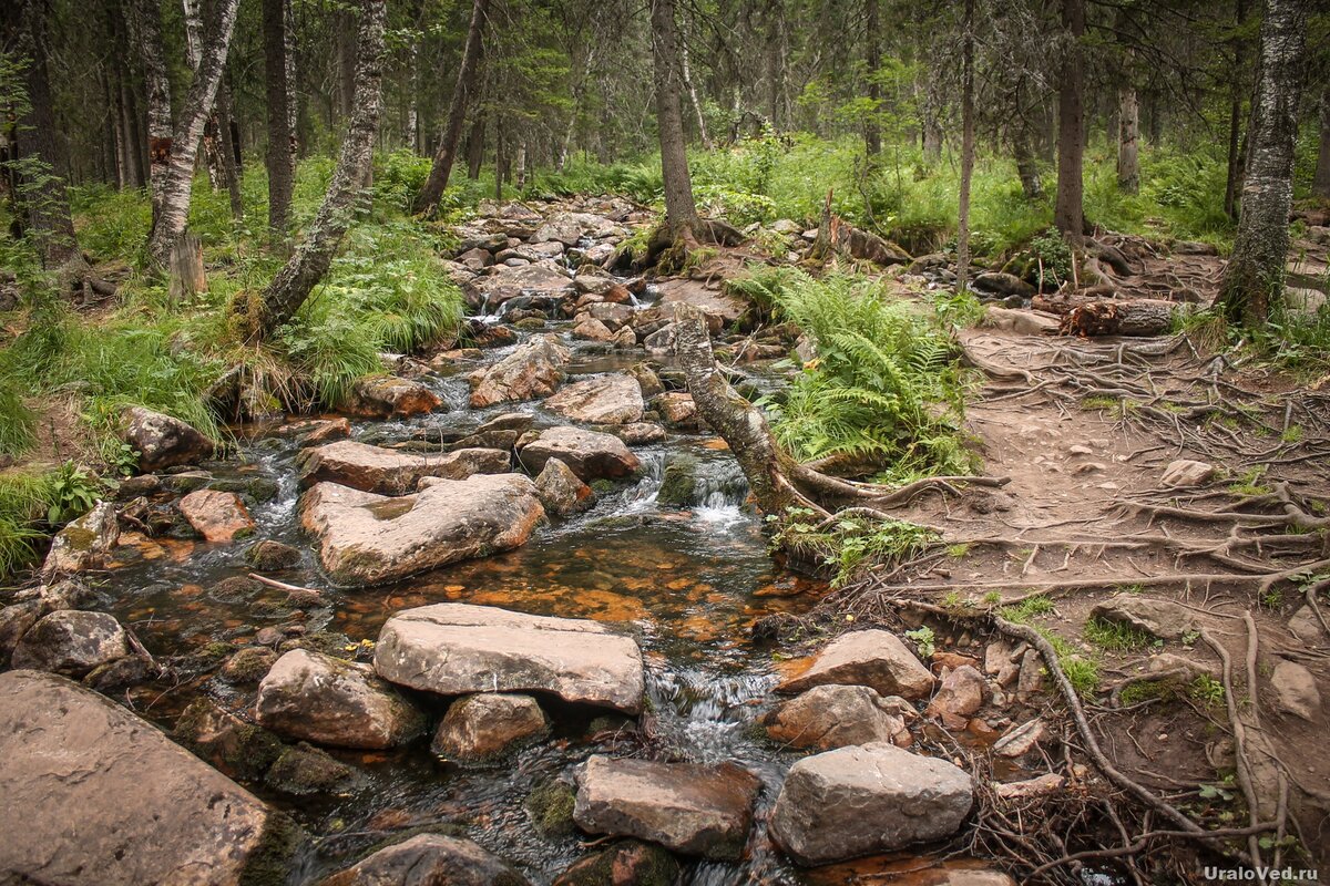 По пути встретился живописный ручей