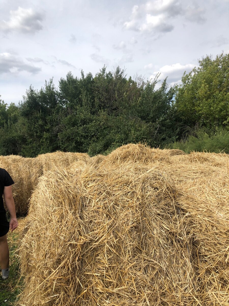 Около дома друзей.