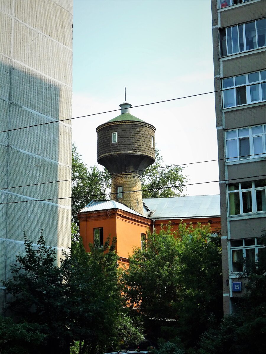 Фото автора