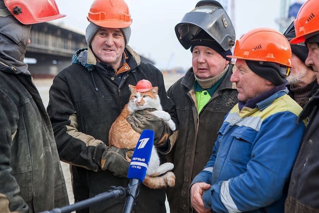 Фото: doggo_taxi, Instagram