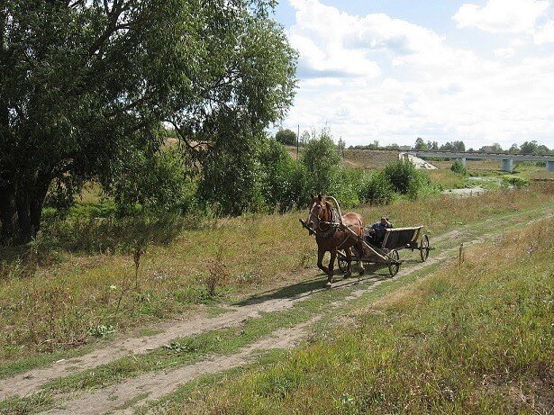 Вот так передвигались в те времена