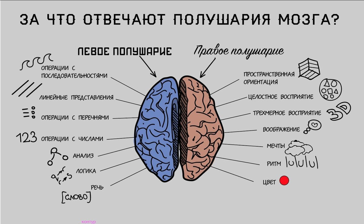 Взято из открытых источников Яндекса