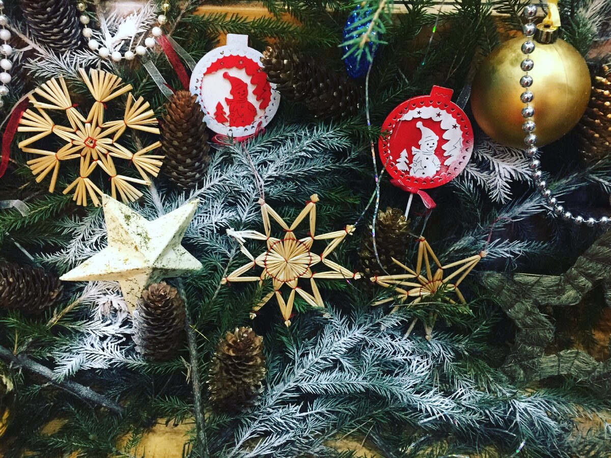 Фото сделано автором и принадлежит автору 