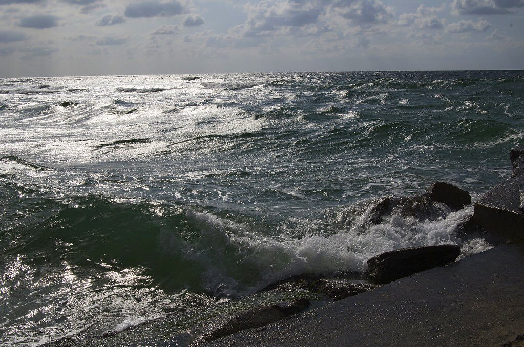 Чёрное море – крупнейший резервуар сероводорода в мире, содержащий под толщей воды более 3 миллиардов тонн ядовитого газа. Есть ли существа, способные обитать в столь недружелюбной среде?