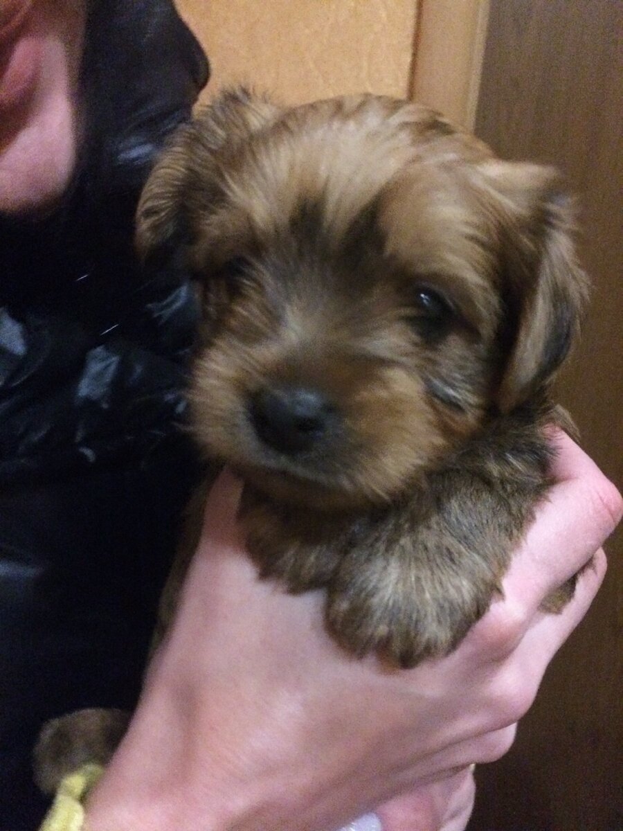 Самое первое фото😍