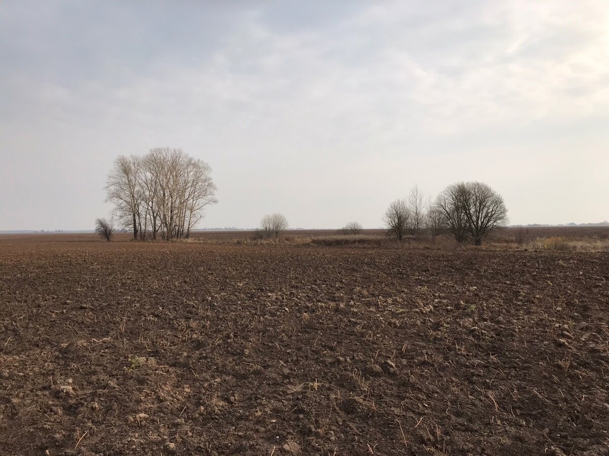 личное фото.