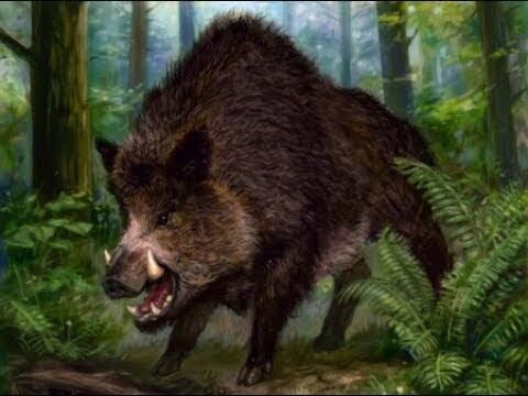 иллюстрации, как обычно, с общедоступных сетевых ресурсов.