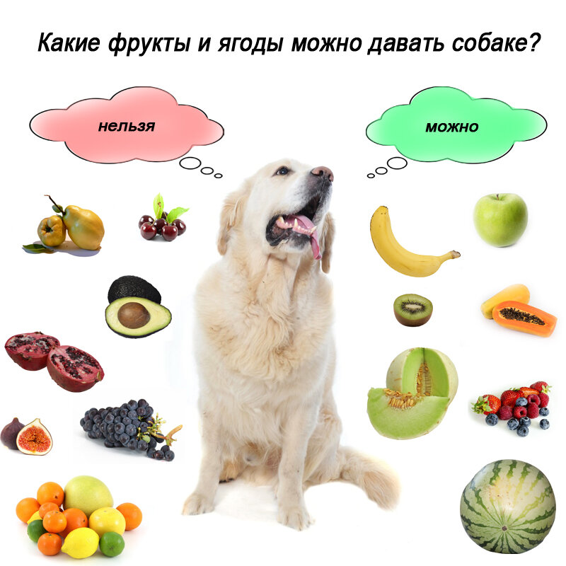 Источник. Яндекс картинки