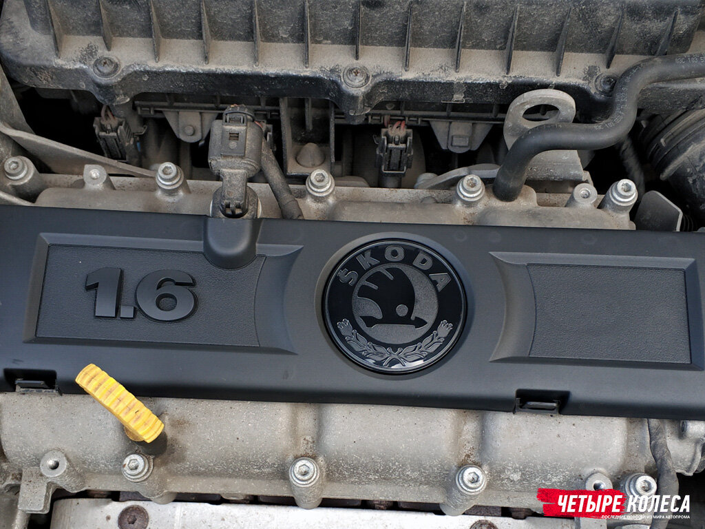 Фото: Яндекс Картинки