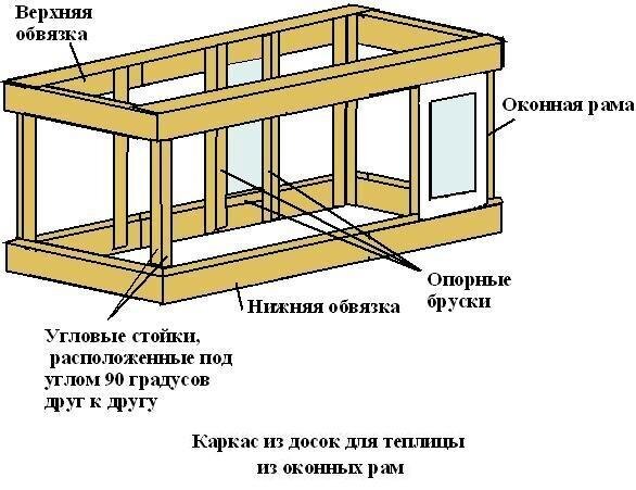 Теплица из пластиковых окон своими руками (150 фото)