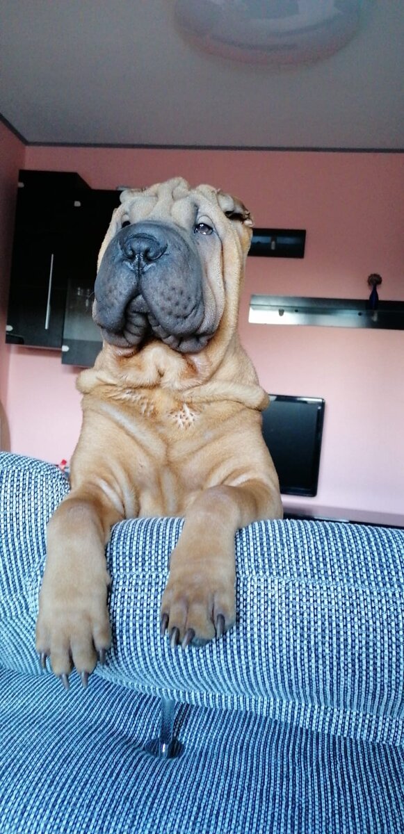 Фото из личного архива