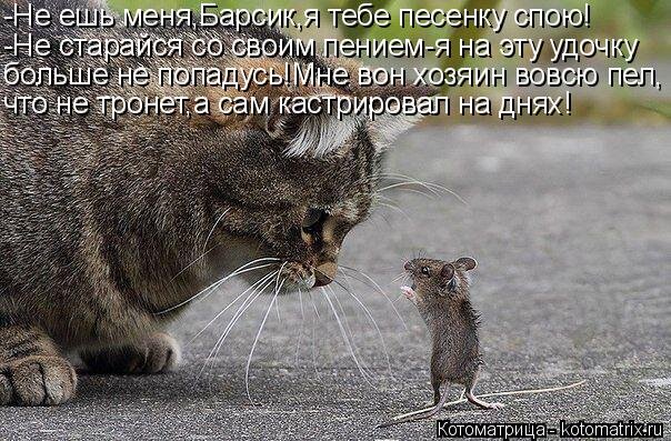 Фото из свободного доступа