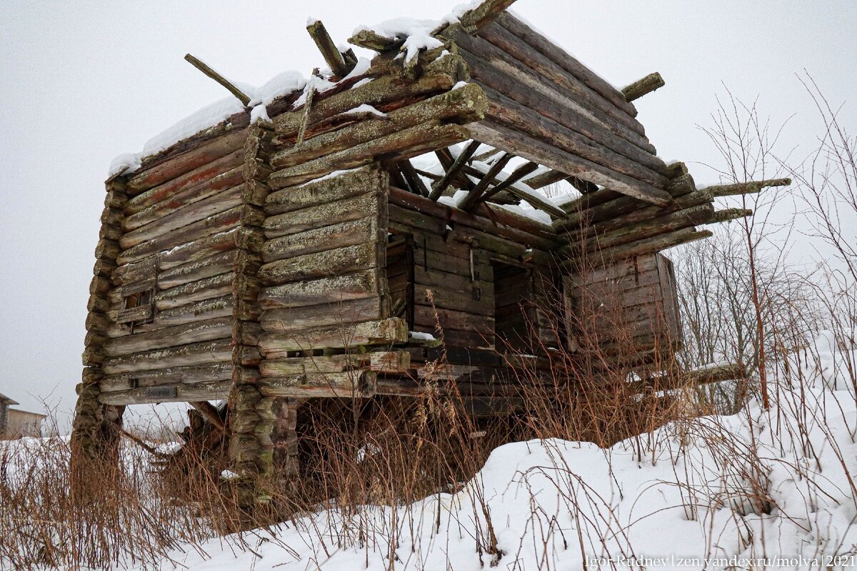Деревня середняков. Село мигна. Забытая деревня передача. Заброшенные дома в деревнях. Деревня середняков.