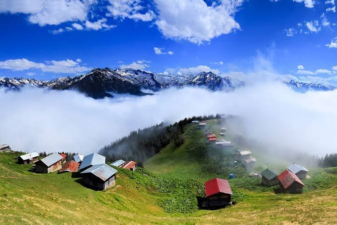 
Ризе (Rize) представляет собой небольшой городок в северо-восточной части Турции, стоящий на берегу Черного моря. Несмотря на свои скромные размеры и отсутствие современного лоска, присущего средиземноморским курортам, Ризе известен далеко за пределами страны. Город является не только столицей одной из самых маленьких турецких провинций — Ризе, но также признанным центром чайной индустрии. Со всех сторон его окружают чайные плантации, спускающиеся со склонов гор и сады киви. Природа Ризе очень живописна. Сюда приезжают поклонники экстремального туризма, чтобы провести несколько дней в походах по лесным тропам, любители исторических достопримечательностей также найдут здесь много интересного.

Как добраться

Город не имеет собственного аэропорта, однако в 60 км от него находится аэропорт Трабзона. Добраться оттуда можно на шаттлах «Хаваш», такси или междугородних автобусах, следующих по маршруту Анкара-Стамбул, а также Батуми-Стамбул через Ризе. Ближайшие железнодорожные станции располагаются в Эрзуруме (130 км) и Самсуне (400 км), однако этот вариант сообщения крайне неудобен, поэтому не пользуется особой популярностью среди туристов. У Ризе хорошо налажено транспортное сообщение с другими городами. До Стамбула отсюда можно добраться за 20 часов, до Анкары за 15, до Самсуна за 8 часов.

Климат

Ризе расположен в зоне влажного субтропического климата. Как и на большинстве курортов восточной части Черноморского побережья, лето здесь теплое, без изнуряющей жары и с частыми дождями. Это самая дождливая местность в стране, где высокая влажность отмечается не только зимой, но и летом. В летнее время температура воздуха поднимается до +28°C, самые жаркие месяцы — июль и август. Пляжный сезон начинается в Ризе с июня и длится до середины сентября. Температура морской воды в это время достигает +20°C. С октября в этой части Турции наступает сезон дождей, который длится до начала декабря. Зимой температура опускается до +2-5°C, нередки заморозки и сильные снегопады.

История

Впервые в исторических документах Ризе был упомянут во 2 ст. до н.э., как один из городов провинции Каппадокия. По существующей версии город был основан переселенцами из Милета в VII ст. до н.э., основавшими здесь свою колонию. Позже он был завоеван персами, а спустя несколько столетий — греками.

В период средневековья Ризе управляется турками-сельджуками во главе с Меликсахом. В XI ст. он стал частью Византийской империи, а после распада последней перешел во власть Трабзонской империи. Именно этот период отмечен наибольшим количеством исторических и архитектурных памятников.

Во времена Первой мировой войны провинция Ризе была ареной боевых действий между русской и турецкой армией. В 1916 году ее оккупировали российские войска, но спустя два года она вновь вернулась под флаги Османской империи. В 1924 году, с приходом к власти Ататюрка Кемаля, город становится частью Турецкой республики и получает независимость. На сегодняшний день Ризе представляет собой небольшой провинциальный городок, известный производством чайной продукции.

Достопримечательности

Ризе богат замками, среди которых наибольшей популярностью пользуется цитадель Ризе, возведенная в XIV ст. Отправившись на экскурсию загород, можно также посетить замки Джиха (Ciha Castle), Кале-и-Бала (Kale-i-Bala Castle), Зир (Zir Castle). Не меньший интерес представляют мечети Гюлбахар (Gulbahar Mosque) и Ислам Паша (Islam Pasa Mosque), являющиеся выдающимися образцами восточного зодчества.

Ни один экскурсионный маршрут по Ризе не обходится без посещения монастыря Сумела (Sumela Monastery), вырубленного в скале. Его возраст составляет практически 900 лет.

Среди музеев обязательно стоит посетить музей Ататюрка, в коллекции которого находятся некоторые личные вещи «отца турков». Познакомиться с историей и этнографией Ризе можно в музее Mehmet Mataraci Mansion.

Окрестности города также богаты достопримечательностями. В 20 км от Ризе находятся знаменитые минеральные источники Андон (Andon), Чайырлы (Cayirli) и Шимширлы (Simsirli), вода которых излечивает от многих заболеваний. Они располагаются на высоте 1300 метров над уровнем моря в окружении Качкарских гор. Также в 30 км от города можно увидеть одно из природных чудес этого региона — водопад Агаран.

Пляжи

Большинство пляжей в Ризе принадлежат прибережным отелям, которые оборудовали их всем необходимым для комфортного отдыха. Пляжи галечно-песчаные, есть тихие, уединенные бухты для детского купания