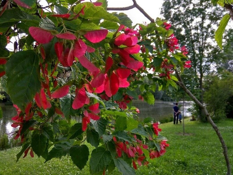 Источник фото https://www.instagram.com/p/CCO-umLBoYP/