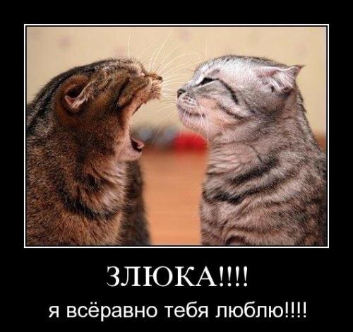 картинка из свободного доступа в интернете